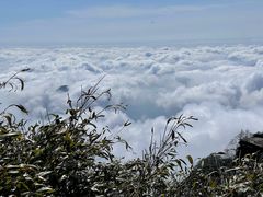 -梵净山旅游区