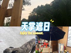 -缙云山景区