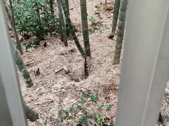 -福道