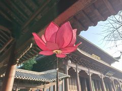 -钱王祠