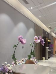 -云南吴氏嘉美医疗美容医院