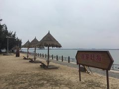 -北海金海湾红树林生态旅游区