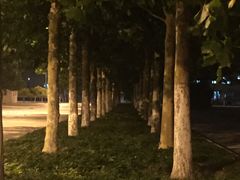 -南开大学滨海学院