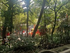 -灵岩山风景区
