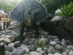 -陕西自然博物馆