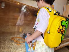 -珠海海泉湾神秘岛亲子乐园