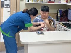 -康成宠物医院24H·CT·核磁共振
