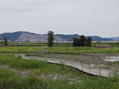 -漩门湾国家湿地公园