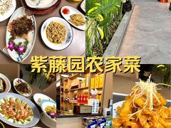 -紫藤园·天目湖大鱼头(南山竹海店)