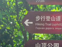 -亚龙湾热带天堂森林公园