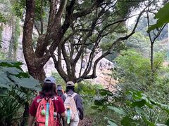 -黄埔油麻山森林公园