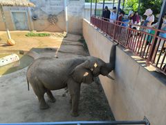 -西霞口神雕山野生动物世界
