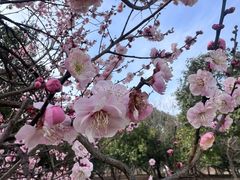 -蜀冈西峰生态公园