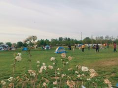 -安德鲁户外烧烤帐篷营地(马泉营店)