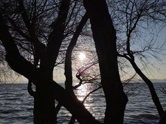 -捞渔河湿地公园
