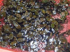 -渔民新村(番禺总店)