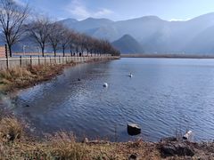 -大九湖