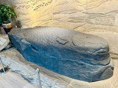 -白鹤梁水下博物馆