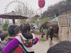 -大连森林动物园