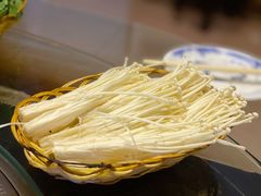 -姥家大锅台水库渔家