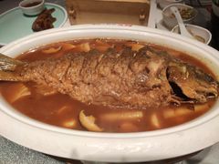 -阿五黄河大鲤鱼(英协路店)