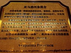 洗手间供人观赏的亚马逊河象-肇庆奥威斯酒店