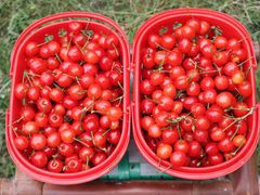 -樱桃山旅游景区