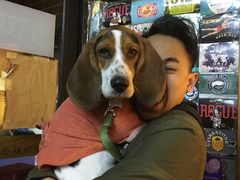 -HIHE Bistro·Oyster Bar(华熙live店)