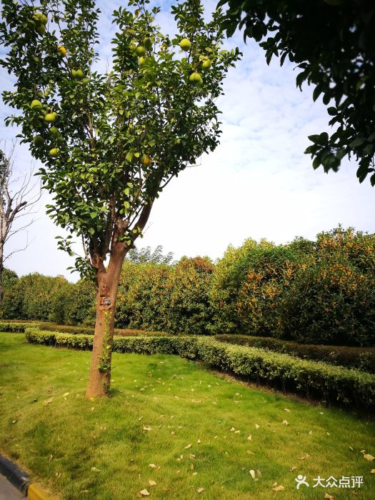 中国乳业博物馆图片 - 第1张