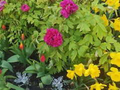 -杭州植物园