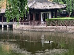 -团结湖公园