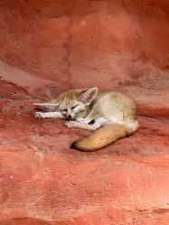 -Zoolung Zoolung动物主题公园(海信广场店)