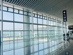 -青岛胶东国际机场