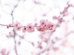 -堤角公园