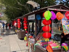 -溱湖国家湿地公园