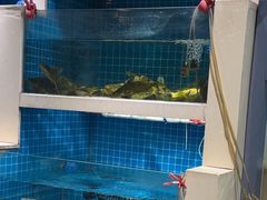 -元银甲·湖北地标美食(汉阳店)