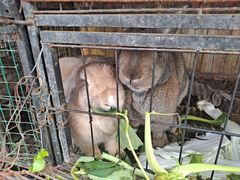 -小鱼草莓采摘园农家乐·小鱼餐厅