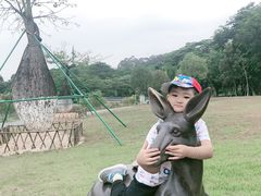 -东莞植物园