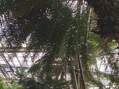 -龙达温泉生态城