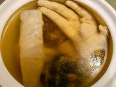 花胶炖竹丝鸡汤-陶陶居酒家(海岸城店)