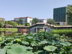 -西海子公园