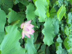 望津里精品酒店-乌镇望津里精品酒店