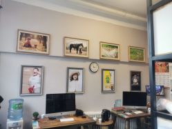 -金麦兜儿童摄影(新星绿城店)