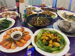 -老乡村美食农庄