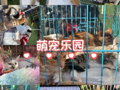 -瑞虹新天地月亮湾
