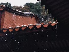 -湄洲岛