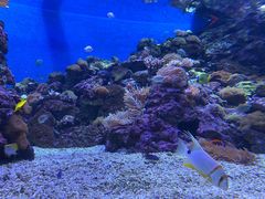 -成都浩海立方海洋公园