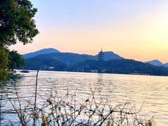 -柳莺湖上·湖景餐厅·江南菜(西湖店)