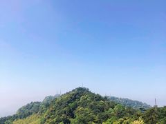 -缙云山景区