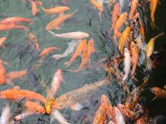 -云南民族大观园